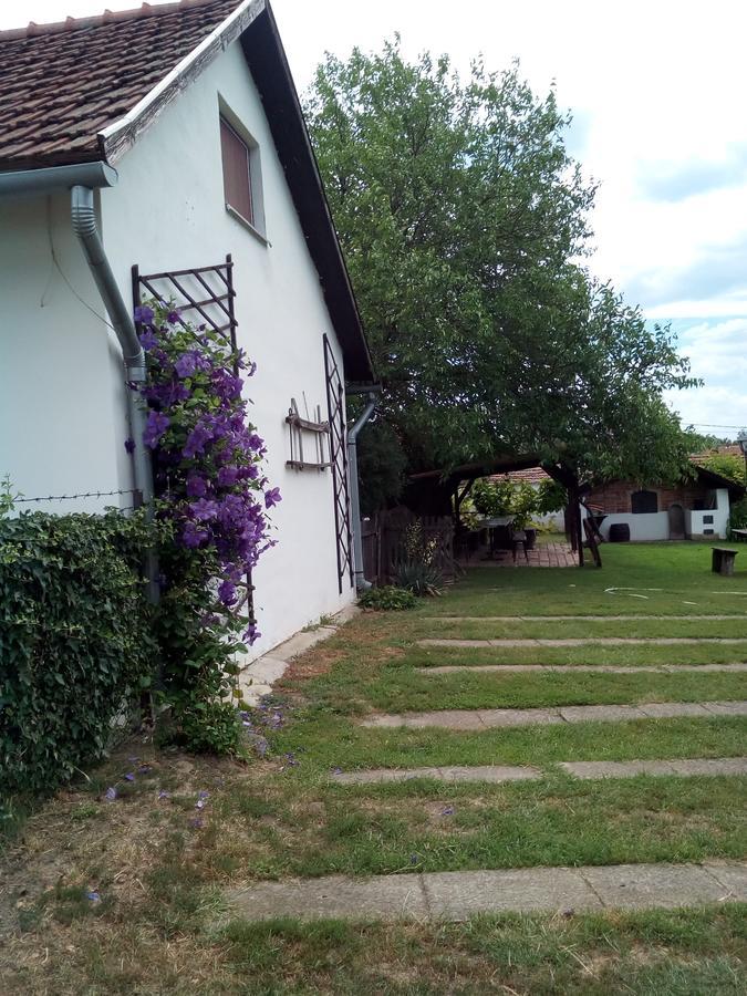 Kiad-Lak Apartmanok - Szep Kartya Elfogado Abádszalók 外观 照片